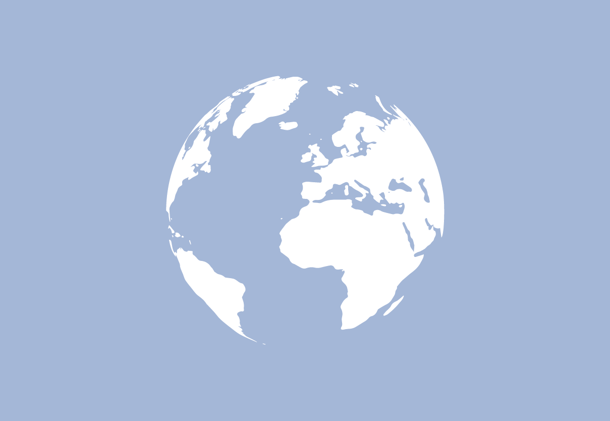 MILLENNIUM STANDARD GROWTH