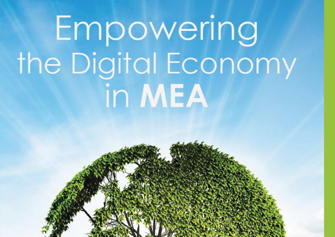 Empowering the Digital Economy in MEA