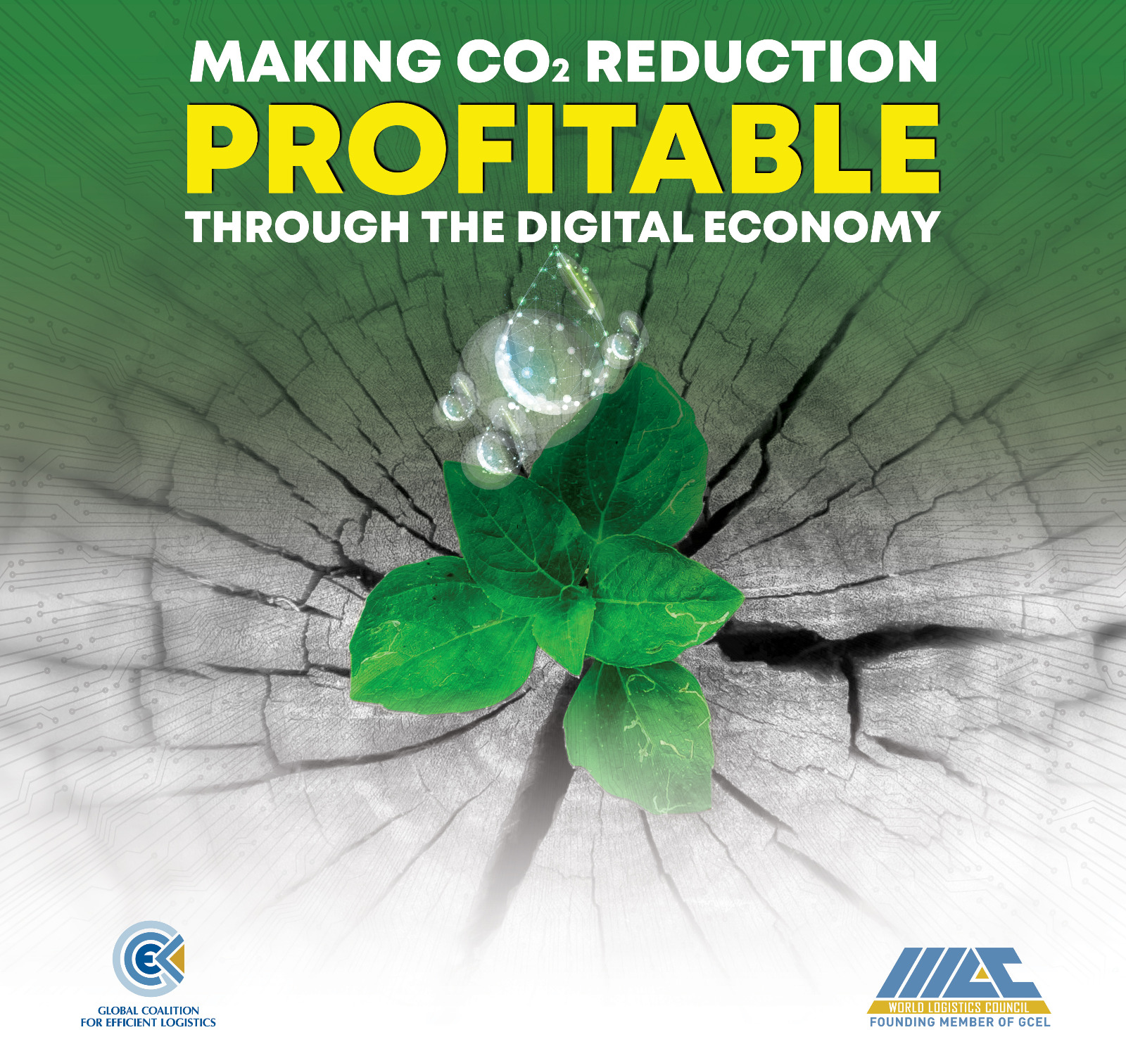 Making C02 Reduction Profitable