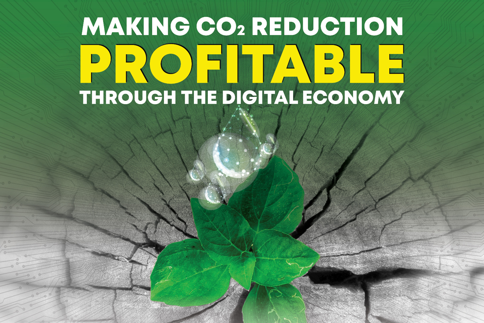 Making CO₂ Reduction Profitable Through the Digital Economy